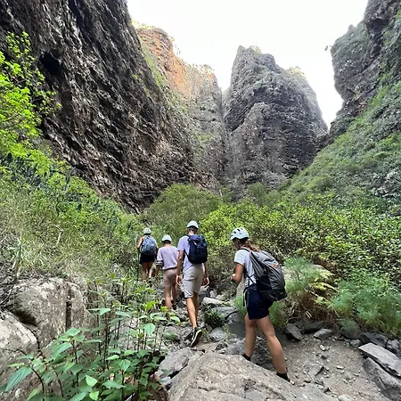 Arena Nest Hostel Puerto de Santiago (Tenerife)