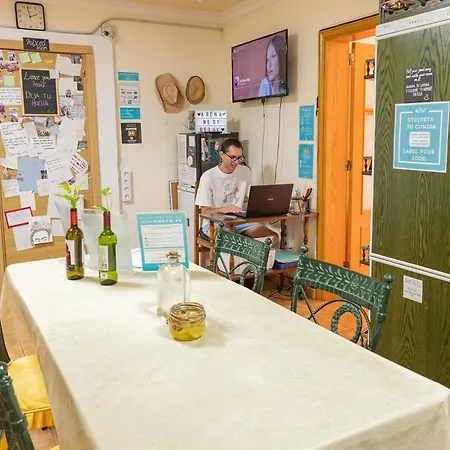 Hostel Arena Nest
