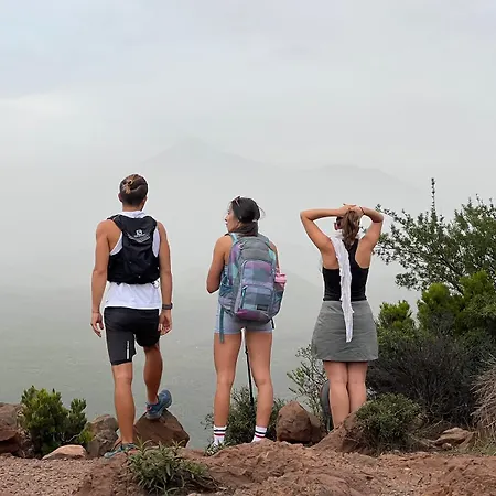 Arena Nest *