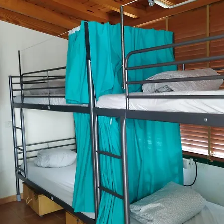 Arena Nest Auberge de jeunesse