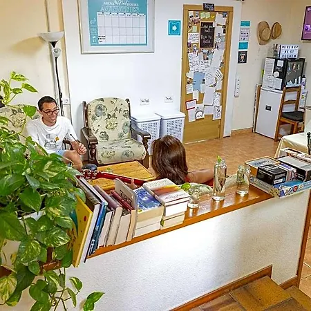 Hostel Arena Nest *