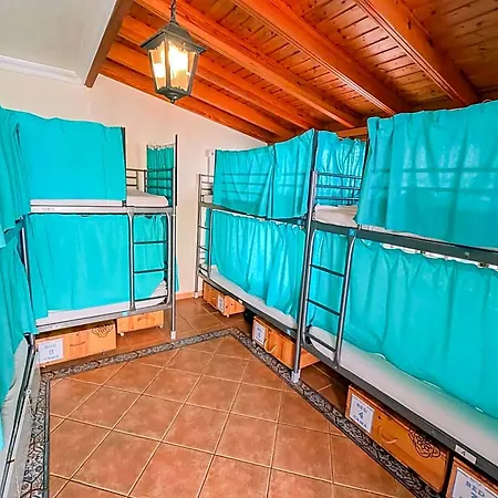 Hostel Arena Nest *