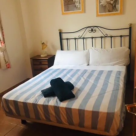 Arena Nest Hostel