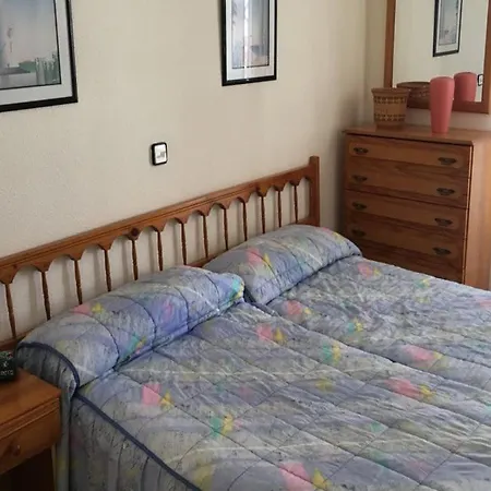 אכסניה Arena Nest