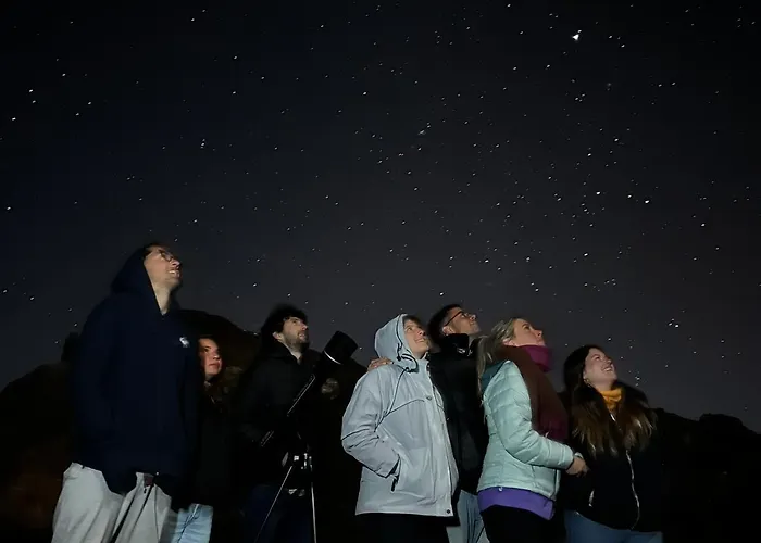 Auberge de jeunesse Arena Nest *