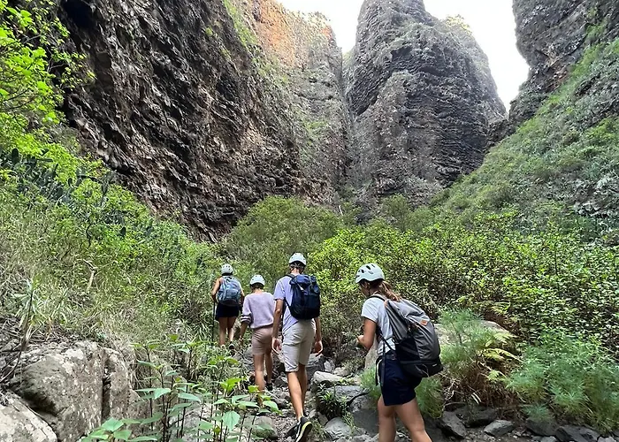Arena Nest Auberge de jeunesse Puerto de Santiago (Tenerife)