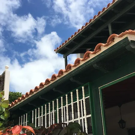 Arena Nest Puerto de Santiago (Tenerife)
