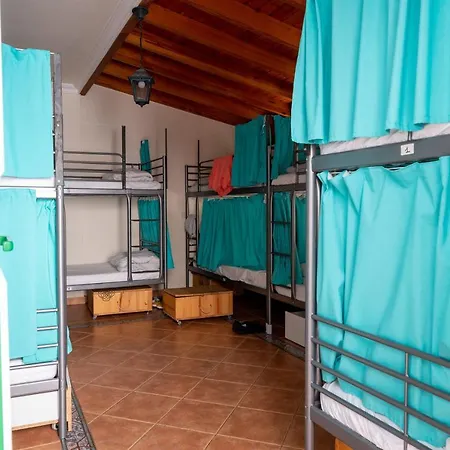 Hostel Arena Nest *