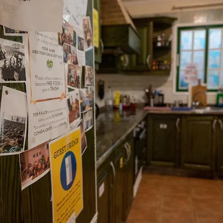 Arena Nest Hostel
