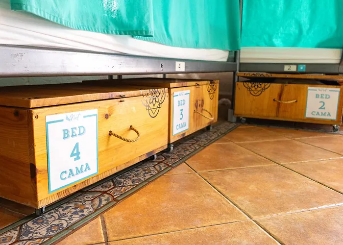 Hostel Arena Nest Puerto de Santiago (Tenerife)