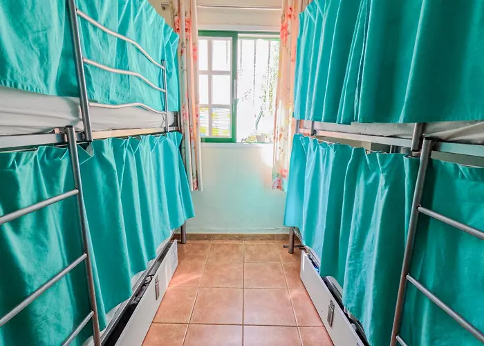 Arena Nest Puerto de Santiago (Tenerife)